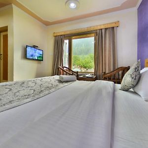 Double Room Mountain View
